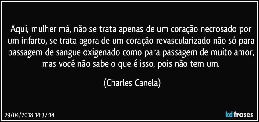Aqui, mulher má, não se trata apenas de um coração necrosado por um infarto, se trata agora de um coração revascularizado não só para passagem de sangue oxigenado como para passagem de muito amor, mas você não sabe o que é isso, pois não tem um. (Charles Canela)