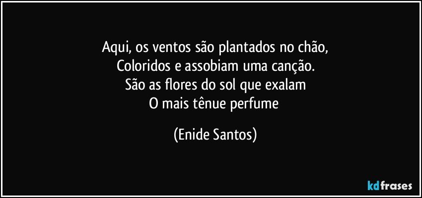 Aqui, os ventos são plantados no chão,
Coloridos e assobiam uma canção.
São as flores do sol que exalam
O mais tênue perfume (Enide Santos)