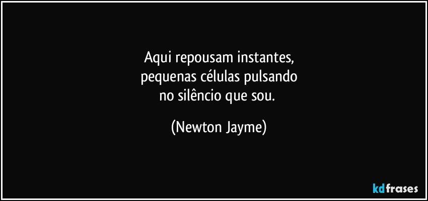 Aqui repousam instantes,
pequenas células pulsando
no silêncio que sou. (Newton Jayme)