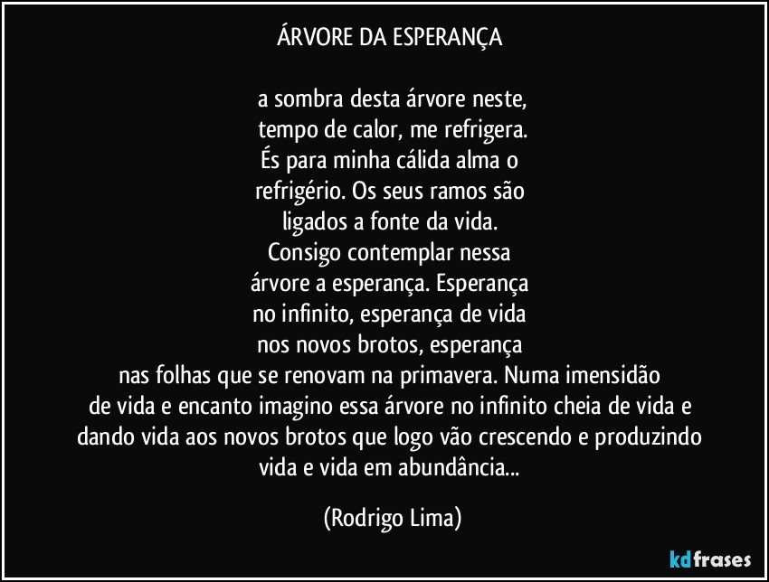 ÁRVORE DA ESPERANÇA 

a sombra desta árvore neste,
tempo de calor, me refrigera.
És para minha cálida alma o 
refrigério. Os seus ramos são 
ligados a fonte da vida. 
Consigo contemplar nessa 
árvore a esperança. Esperança 
no infinito, esperança de vida 
nos novos brotos, esperança 
nas folhas que se renovam na primavera. Numa imensidão 
de vida e encanto imagino essa árvore no infinito cheia de vida e dando vida aos novos brotos que logo vão crescendo e produzindo vida e vida em abundância... (Rodrigo Lima)