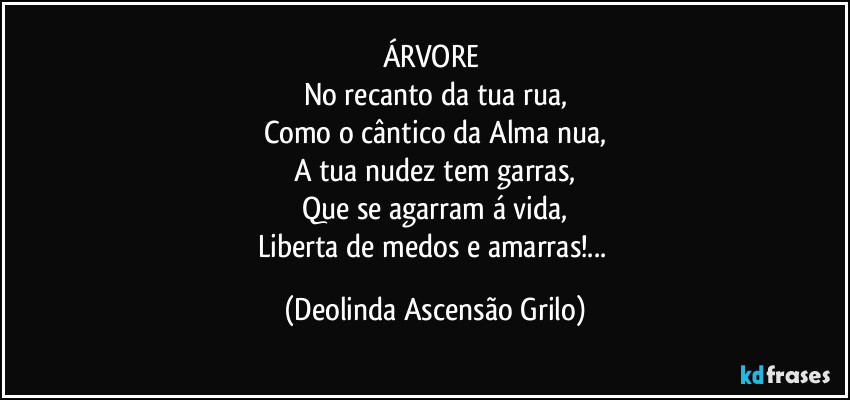 ÁRVORE 
No recanto da tua rua,
Como o cântico da Alma nua,
A tua nudez tem garras,
Que se agarram á vida,
Liberta de medos e amarras!... (Deolinda Ascensão Grilo)