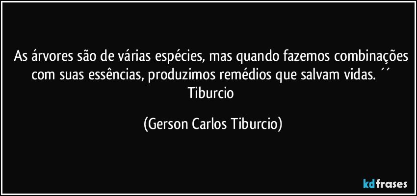 As árvores são de várias espécies, mas quando fazemos combinações com suas essências, produzimos remédios que salvam vidas. ´´ Tiburcio (Gerson Carlos Tiburcio)