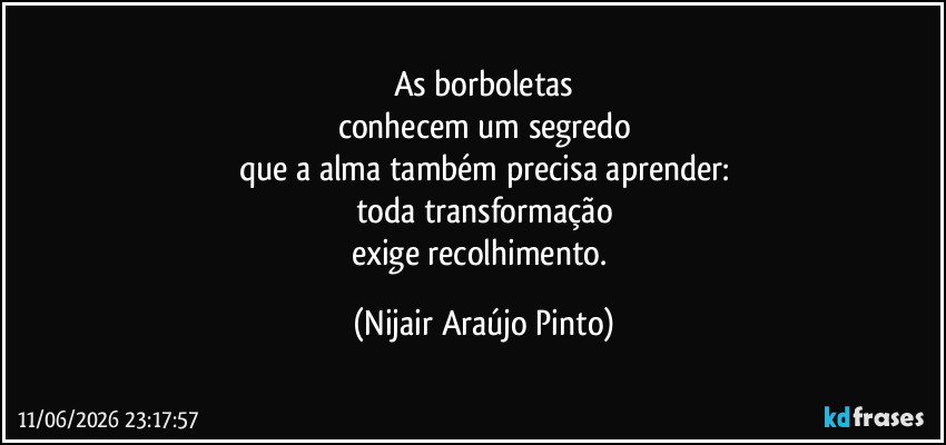 As borboletas
conhecem um segredo
que a alma também precisa aprender:
toda transformação
exige recolhimento. (Nijair Araújo Pinto)