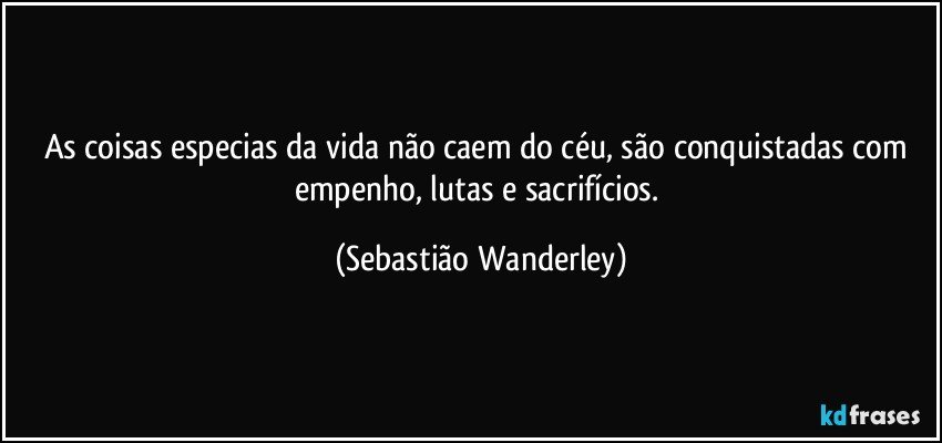 As coisas especias da vida não caem do céu, são conquistadas com empenho, lutas e sacrifícios. (Sebastião Wanderley)