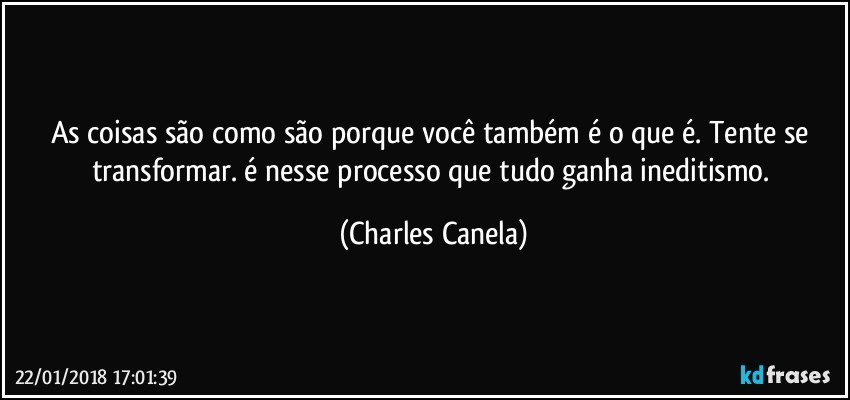 As coisas são como são porque você também é o que é. Tente se transformar. é nesse processo que tudo ganha ineditismo. (Charles Canela)