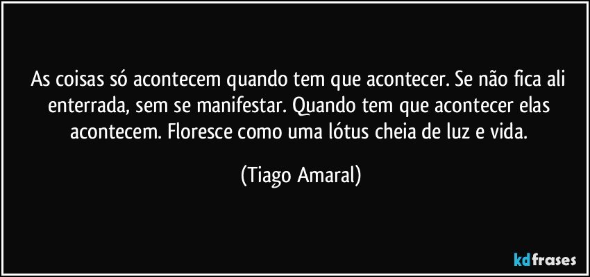 As coisas só acontecem quando tem que acontecer. Se não fica ali enterrada, sem se manifestar. Quando tem que acontecer elas acontecem. Floresce como uma lótus cheia de luz e vida. (Tiago Amaral)