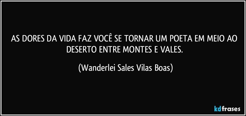 AS DORES DA VIDA FAZ VOCÊ SE TORNAR UM POETA EM MEIO AO DESERTO ENTRE MONTES E VALES. (Wanderlei Sales Vilas Boas)