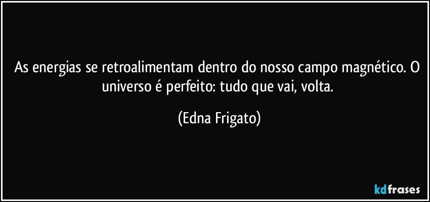 As energias se retroalimentam dentro do nosso campo magnético. O universo é perfeito: tudo que vai, volta. (Edna Frigato)