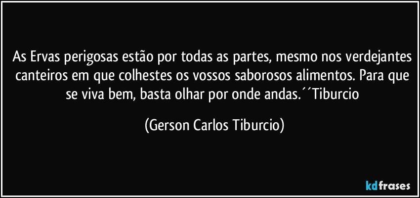 As Ervas perigosas estão por todas as partes, mesmo nos verdejantes canteiros em que colhestes os vossos saborosos alimentos. Para que se viva bem, basta olhar por onde andas.´´Tiburcio (Gerson Carlos Tiburcio)