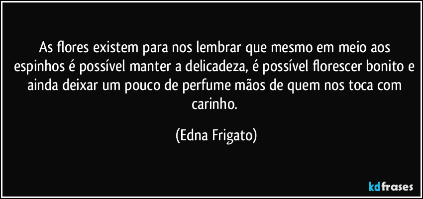 As flores existem para nos lembrar que mesmo em meio aos espinhos é possível manter a delicadeza, é possível florescer bonito e  ainda deixar um pouco de perfume mãos de quem nos toca com carinho. (Edna Frigato)