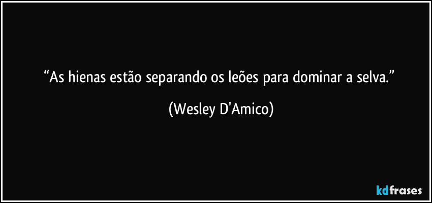 “As hienas estão separando os leões para dominar a selva.” (Wesley D'Amico)