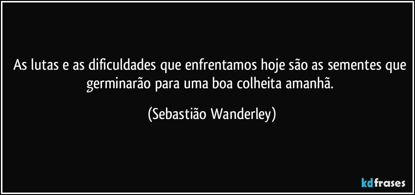 As lutas e as dificuldades que enfrentamos hoje são as sementes que germinarão para uma boa colheita amanhã. (Sebastião Wanderley)