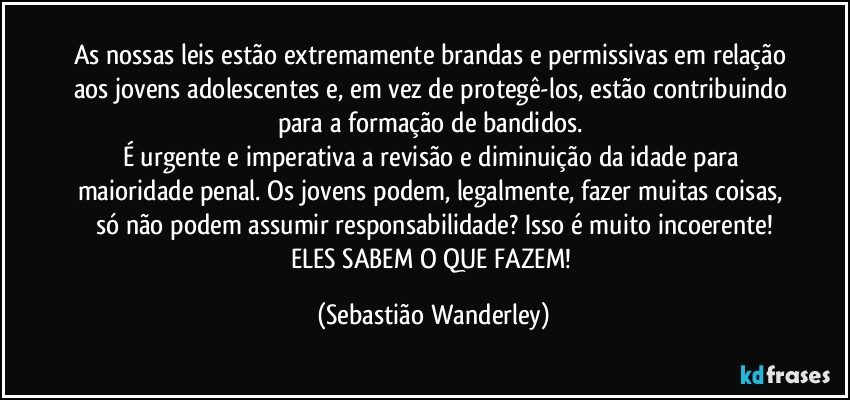 As nossas leis estão extremamente brandas e permissivas em relação aos jovens adolescentes e, em vez de protegê-los, estão contribuindo para a formação de bandidos. 
É urgente e imperativa a revisão e diminuição da idade para maioridade penal. Os jovens podem, legalmente, fazer muitas coisas, só não podem assumir responsabilidade? Isso é muito incoerente!
ELES SABEM O QUE FAZEM! (Sebastião Wanderley)