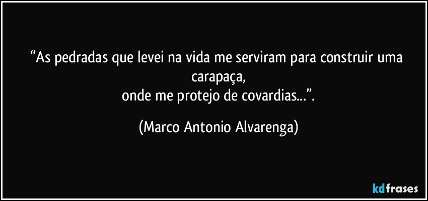 “As pedradas que levei na vida me serviram para construir uma carapaça,
 onde me protejo de covardias...”. (Marco Antonio Alvarenga)