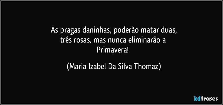 As pragas daninhas, poderão matar duas,
três rosas, mas nunca eliminarão a 
Primavera! (Maria Izabel Da Silva Thomaz)