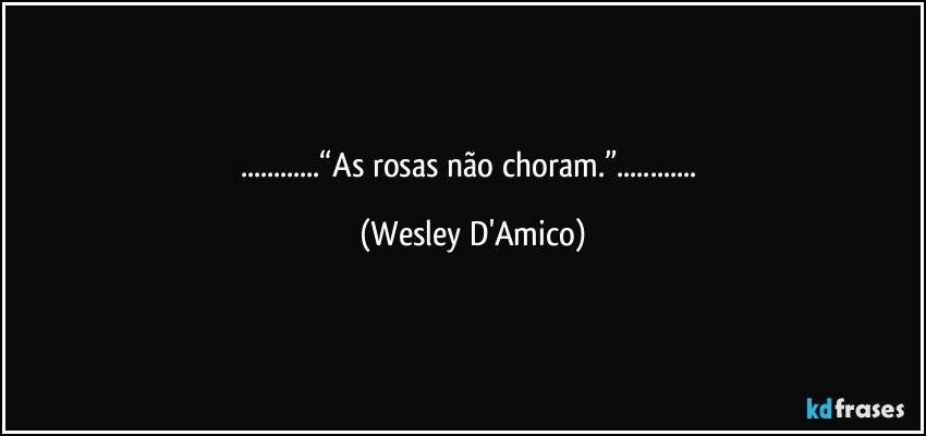 ...“As rosas não choram.”... (Wesley D'Amico)