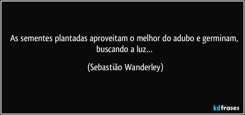 As sementes plantadas aproveitam o melhor do adubo e germinam, buscando a luz… (Sebastião Wanderley)