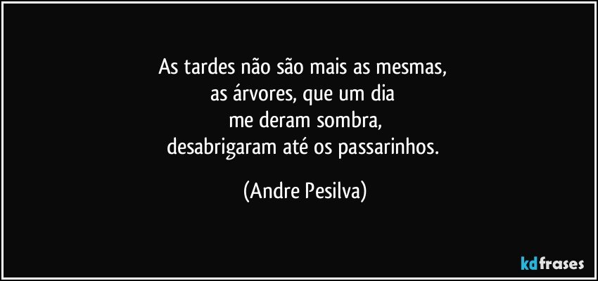 As tardes não são mais as mesmas, 
as árvores, que um dia 
me deram sombra,
desabrigaram até os passarinhos. (Andre Pesilva)