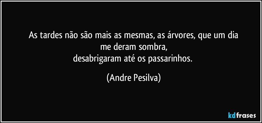 As tardes não são mais as mesmas, as árvores, que um dia
me deram sombra,
desabrigaram até os passarinhos. (Andre Pesilva)