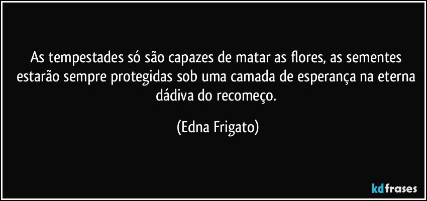 As tempestades só são capazes de matar as flores, as sementes estarão sempre protegidas sob uma camada de esperança na eterna dádiva do recomeço. (Edna Frigato)