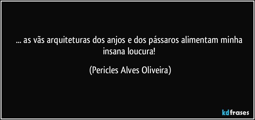 ... as vãs arquiteturas dos anjos e dos pássaros alimentam minha insana loucura! (Pericles Alves Oliveira)