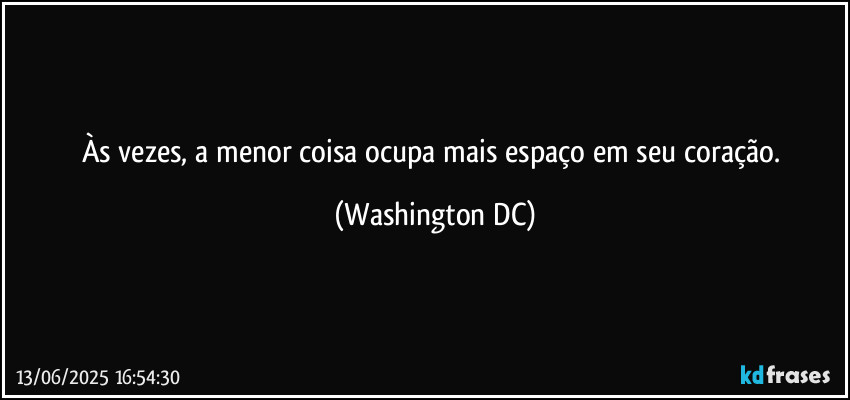 Às vezes, a menor coisa ocupa mais espaço em seu coração. (Washington DC)