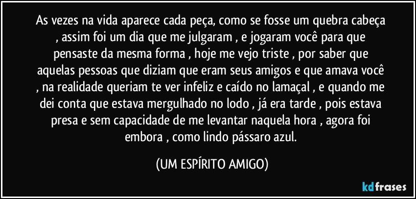 As vezes na vida aparece cada peça, como se fosse um quebra cabeça , assim foi um dia que me julgaram , e jogaram você para que pensaste da mesma forma , hoje me vejo triste , por saber que aquelas pessoas que diziam que eram seus amigos e que amava você , na realidade queriam te ver infeliz e caído no lamaçal , e quando me dei conta que estava mergulhado no lodo , já era tarde , pois estava presa e sem capacidade de me levantar naquela hora , agora foi embora , como lindo pássaro azul. (UM ESPÍRITO AMIGO)