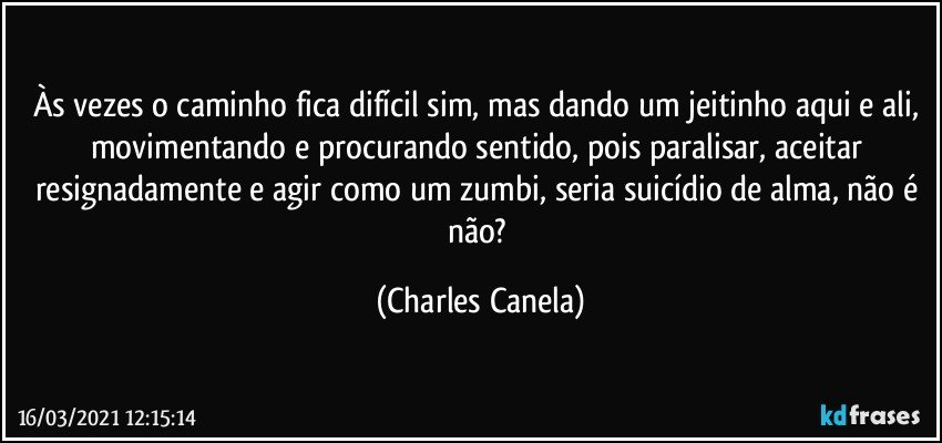 Às vezes o caminho fica difícil sim, mas dando um jeitinho aqui e ali, movimentando e procurando sentido, pois paralisar, aceitar resignadamente e agir como um zumbi, seria suicídio de alma, não é não? (Charles Canela)