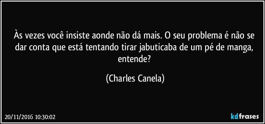 Às vezes você insiste aonde não dá mais. O seu problema é não se dar conta que está tentando tirar jabuticaba de um pé de manga, entende? (Charles Canela)