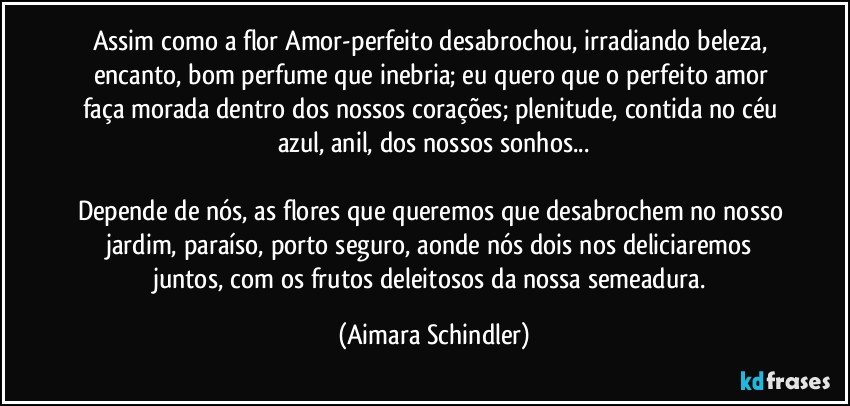 Assim como a flor Amor-perfeito desabrochou, irradiando beleza, encanto, bom perfume que inebria; eu quero que o perfeito amor faça morada dentro dos nossos corações; plenitude, contida no céu azul, anil, dos nossos sonhos...

Depende de nós, as flores que queremos que desabrochem no nosso jardim, paraíso, porto seguro, aonde nós dois nos deliciaremos juntos, com os frutos deleitosos da nossa semeadura. (Aimara Schindler)