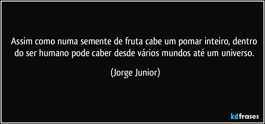 Assim como numa semente de fruta cabe um pomar inteiro, dentro do ser humano pode caber desde vários mundos até um universo. (Jorge Junior)