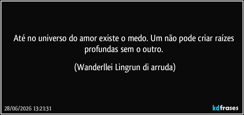 Até no universo do amor existe o medo. Um não pode criar raízes profundas sem o outro. (Wanderllei Lingrun di arruda)