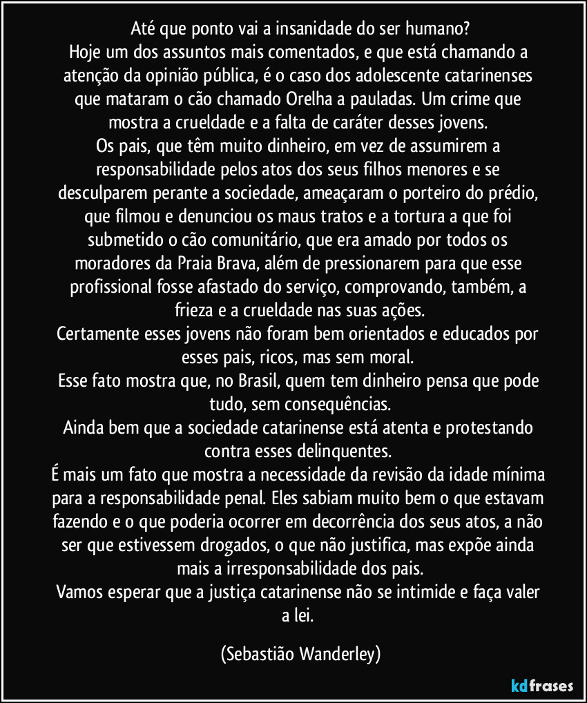 Até que ponto vai a insanidade do ser humano?
Hoje um dos assuntos mais comentados, e que está chamando a atenção da opinião pública, é o caso dos adolescente catarinenses que mataram o cão chamado Orelha a pauladas. Um crime que mostra a crueldade e a falta de caráter desses jovens. 
Os pais, que têm muito dinheiro, em vez de assumirem a responsabilidade pelos atos dos seus filhos menores e se desculparem perante a sociedade, ameaçaram o porteiro do prédio, que filmou e denunciou os maus tratos e a tortura a que foi submetido o cão comunitário, que era amado por todos os moradores da Praia Brava, além de pressionarem para que esse profissional fosse afastado do serviço, comprovando, também, a frieza e a crueldade nas suas ações.
Certamente esses jovens não foram bem orientados e educados por esses pais, ricos, mas sem moral. 
Esse fato mostra que, no Brasil, quem tem dinheiro pensa que pode tudo, sem consequências.
Ainda bem que a sociedade catarinense está atenta e protestando contra esses delinquentes. 
É mais um fato que mostra a necessidade da revisão da idade mínima para a responsabilidade penal. Eles sabiam muito bem o que estavam fazendo e o que poderia ocorrer em decorrência dos seus atos, a não ser que estivessem drogados, o que não justifica, mas expõe ainda mais a irresponsabilidade dos pais.
Vamos esperar que a justiça catarinense não se intimide e faça valer a lei. (Sebastião Wanderley)