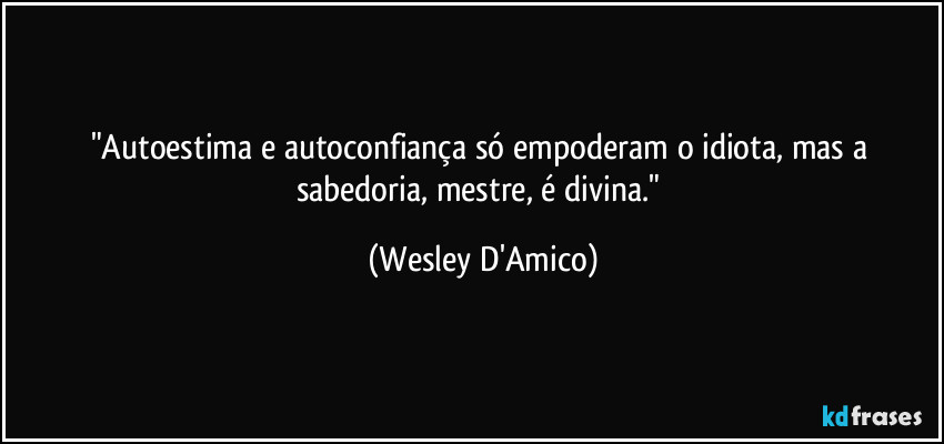 "Autoestima e autoconfiança só empoderam o idiota, mas a sabedoria, mestre, é divina." (Wesley D'Amico)