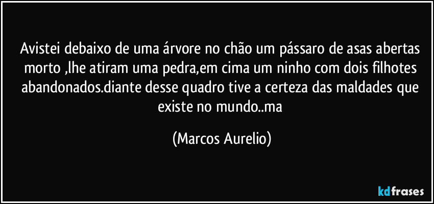 Avistei debaixo de uma árvore no chão um pássaro de asas abertas morto ,lhe atiram uma pedra,em cima um ninho com dois filhotes abandonados.diante desse quadro tive a certeza das maldades que existe no mundo..ma (Marcos Aurelio)
