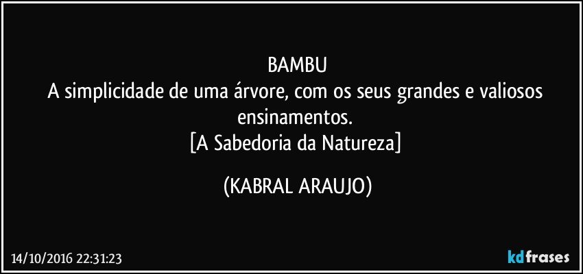 BAMBU
A simplicidade de uma árvore, com os seus grandes e valiosos ensinamentos. 
[A Sabedoria da Natureza] (KABRAL ARAUJO)