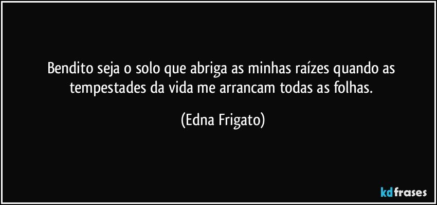 Bendito seja o solo que abriga as minhas raízes quando as tempestades da vida me arrancam todas as folhas. (Edna Frigato)