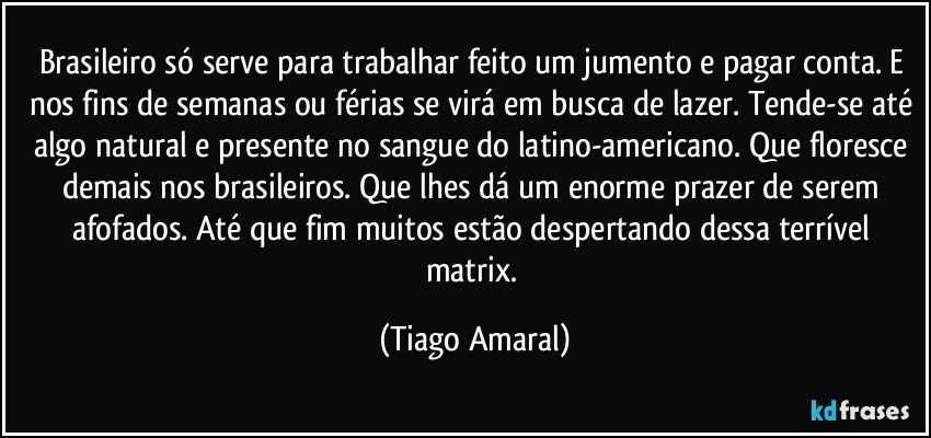 Brasileiro só serve para trabalhar feito um jumento e pagar conta. E nos fins de semanas ou férias se virá em busca de lazer. Tende-se até algo natural e presente no sangue do latino-americano. Que floresce demais nos brasileiros. Que lhes dá um enorme prazer de serem afofados. Até que fim muitos estão despertando dessa terrível matrix. (Tiago Amaral)