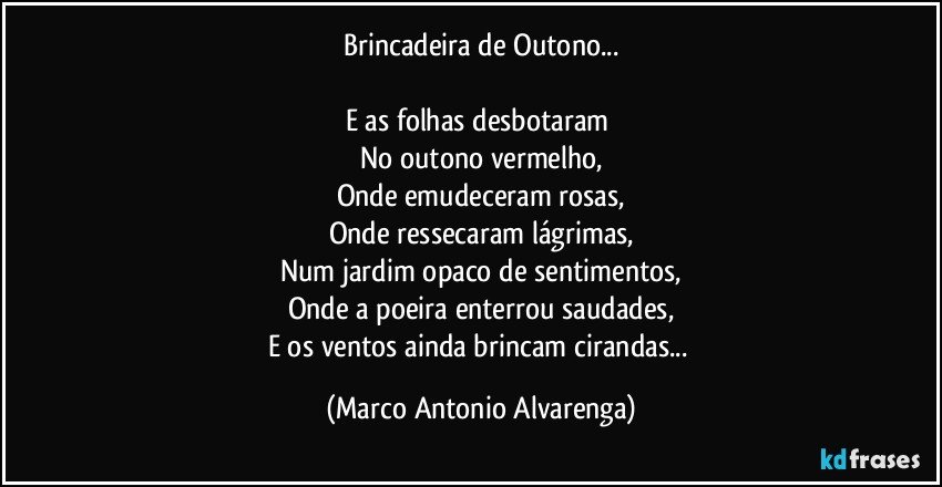 Brincadeira de Outono...

E as folhas desbotaram 
No outono vermelho,
Onde emudeceram rosas,
Onde ressecaram lágrimas,
Num jardim opaco de sentimentos,
Onde a poeira enterrou saudades,
E os ventos ainda brincam cirandas... (Marco Antonio Alvarenga)