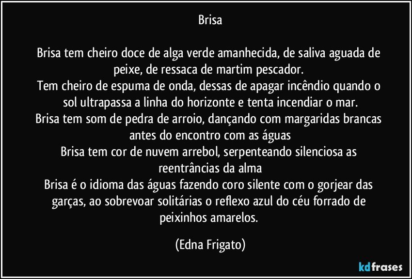 Brisa

Brisa tem cheiro doce de alga verde amanhecida, de saliva aguada de peixe, de ressaca de martim pescador. 
Tem cheiro de espuma de onda, dessas de apagar incêndio quando o sol ultrapassa a linha do horizonte e tenta incendiar o mar.
Brisa tem som de pedra de arroio, dançando com margaridas brancas antes do encontro com as águas
Brisa tem cor de nuvem arrebol, serpenteando silenciosa as reentrâncias da alma
Brisa é o idioma das águas fazendo coro silente com o gorjear das garças, ao sobrevoar solitárias o reflexo azul  do céu forrado de peixinhos amarelos. (Edna Frigato)