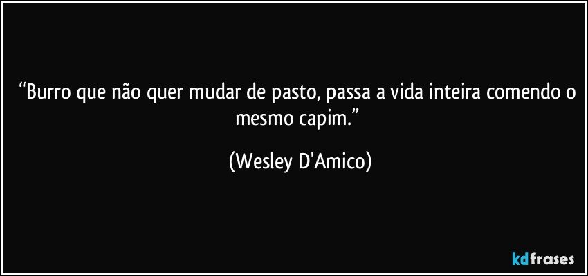 “Burro que não quer mudar de pasto, passa a vida inteira comendo o mesmo capim.” (Wesley D'Amico)