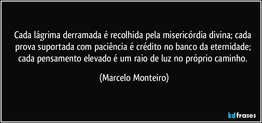 Cada lágrima derramada é recolhida pela misericórdia divina; cada prova suportada com paciência é crédito no banco da eternidade; cada pensamento elevado é um raio de luz no próprio caminho. (Marcelo Monteiro)