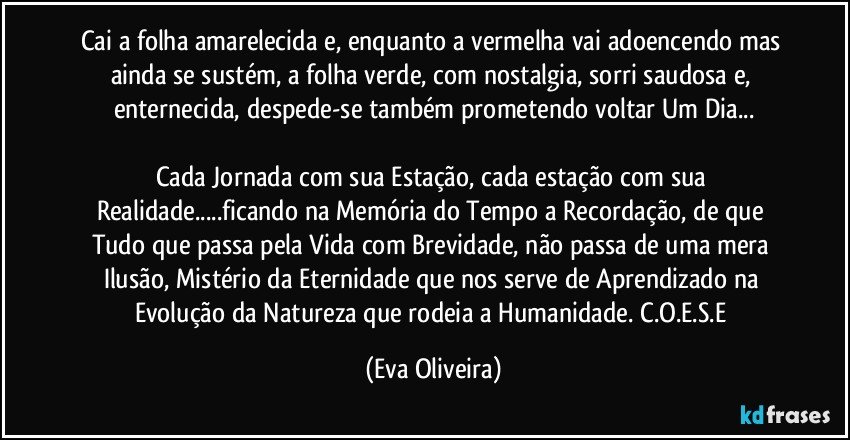 Cai a folha amarelecida e, enquanto a vermelha vai adoencendo mas ainda se sustém, a folha verde, com nostalgia, sorri saudosa e, enternecida, despede-se também prometendo voltar Um Dia...

Cada Jornada com sua Estação, cada estação com sua Realidade...ficando na Memória do Tempo a Recordação, de que Tudo que passa pela Vida com Brevidade, não passa de uma mera Ilusão, Mistério da Eternidade que nos serve de Aprendizado na Evolução da Natureza que rodeia a Humanidade. C.O.E.S.E (Eva Oliveira)