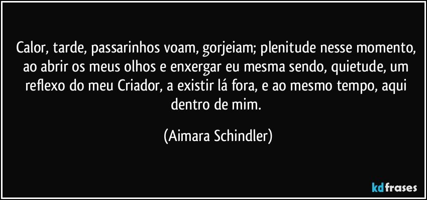 Calor, tarde, passarinhos voam, gorjeiam; plenitude nesse momento, ao abrir os meus olhos e enxergar eu mesma sendo, quietude, um reflexo do meu Criador, a existir lá fora, e ao mesmo tempo, aqui dentro de mim. (Aimara Schindler)