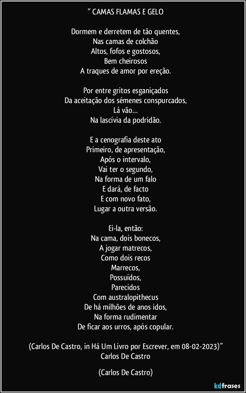 “⁠CAMAS FLAMAS E GELO

Dormem e derretem de tão quentes,
Nas camas de colchão
Altos, fofos e gostosos,
Bem cheirosos
A traques de amor por ereção.

Por entre gritos esganiçados
Da aceitação dos sémenes conspurcados,
Lá vão…
Na lascívia da podridão.

E a cenografia deste ato
Primeiro, de apresentação,
Após o intervalo,
Vai ter o segundo,
Na forma de um falo
E dará, de facto
E com novo fato,
Lugar a outra versão.

Ei-la, então:
Na cama, dois bonecos,
A jogar matrecos,
Como dois recos
Marrecos,
Possuídos,
Parecidos
Com australopithecus
De há milhões de anos idos,
Na forma rudimentar
De ficar aos urros, após copular.

(Carlos De Castro, in Há Um Livro por Escrever, em 08-02-2023)”
―Carlos De Castro (Carlos De Castro)