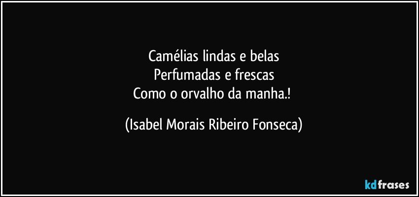 Camélias lindas e belas
Perfumadas e frescas
Como o orvalho da manha.! (Isabel Morais Ribeiro Fonseca)