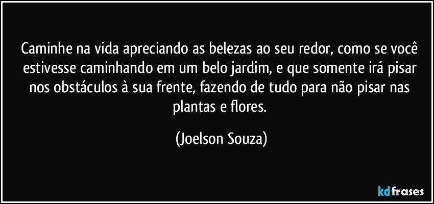 Caminhe na vida apreciando as belezas ao seu redor, como se você estivesse caminhando em um belo jardim, e que somente irá pisar nos obstáculos à sua frente, fazendo de tudo para não pisar nas plantas e flores. (Joelson Souza)