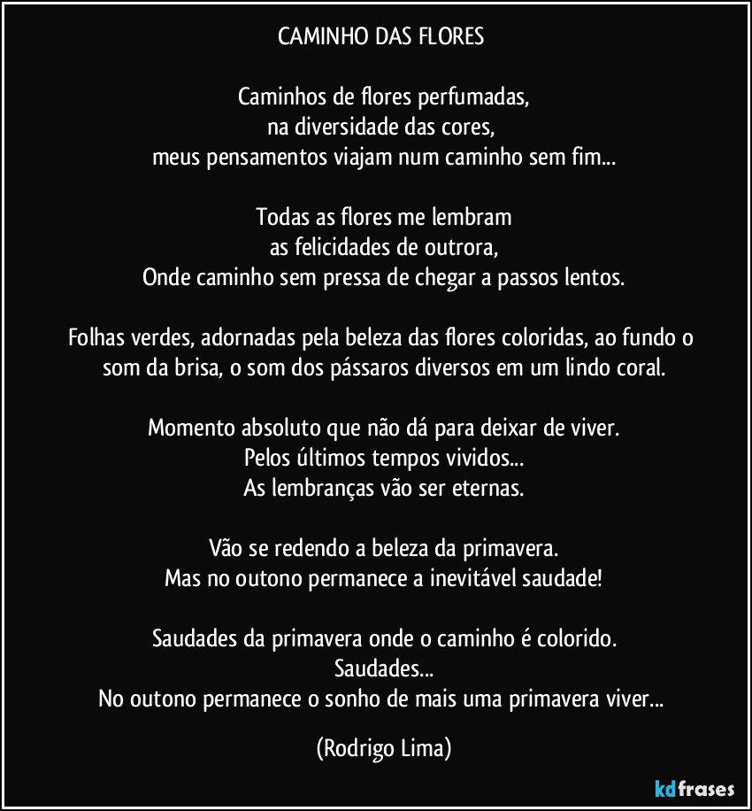 CAMINHO DAS FLORES 

Caminhos de flores perfumadas,
na diversidade das cores, 
meus pensamentos viajam  num caminho sem fim...

Todas as flores me lembram
as felicidades de outrora,
Onde caminho sem pressa de chegar a passos lentos.

Folhas verdes, adornadas pela beleza das flores coloridas, ao fundo o som da brisa, o som dos pássaros diversos em um lindo coral.

Momento absoluto que não dá para deixar de viver.
Pelos últimos tempos vividos...
As lembranças vão ser eternas.

Vão se redendo a beleza da primavera.
Mas no outono permanece a inevitável saudade!

Saudades da primavera onde o caminho é colorido.
Saudades...
No outono permanece o sonho de mais uma primavera viver... (Rodrigo Lima)