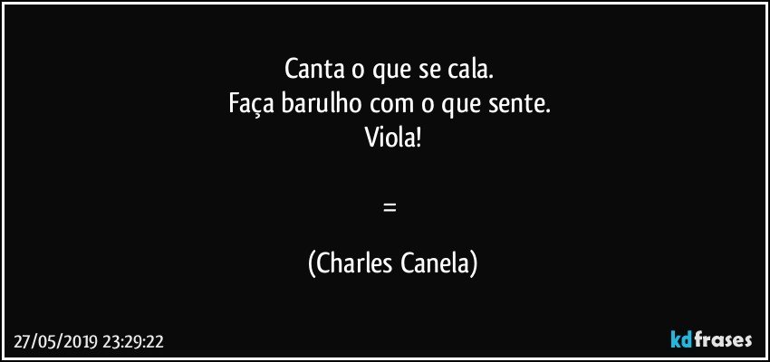 Canta o que se cala. 
Faça barulho com o que sente. 
Viola!

= (Charles Canela)