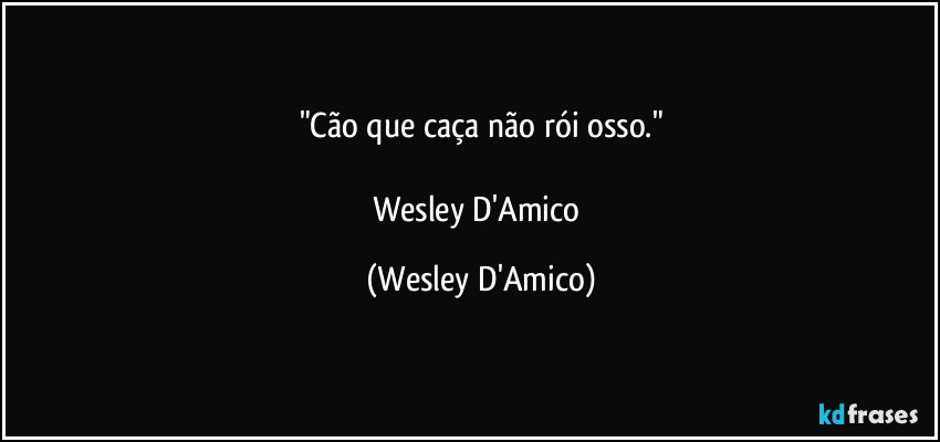 "Cão que caça não rói osso."

Wesley D'Amico (Wesley D'Amico)